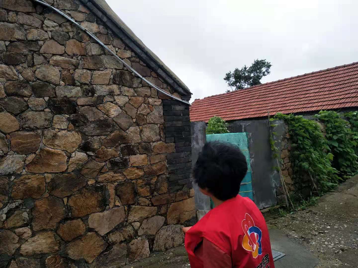 d01d6fb35704f5529439fcfff263254.jpg