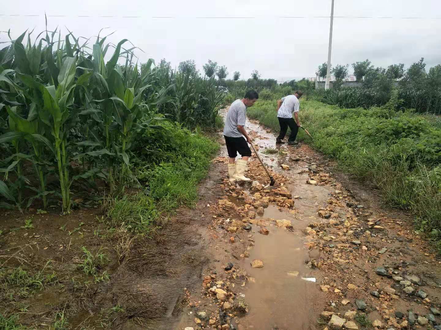 微信图片_20210719144310.jpg