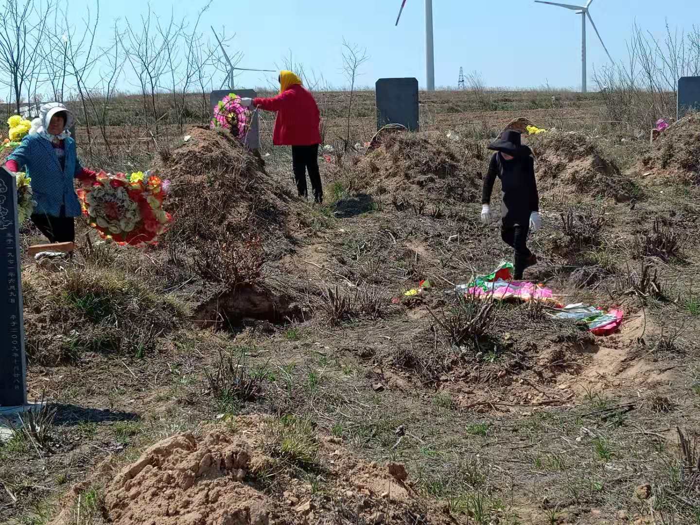 清理墓地杂物.jpg