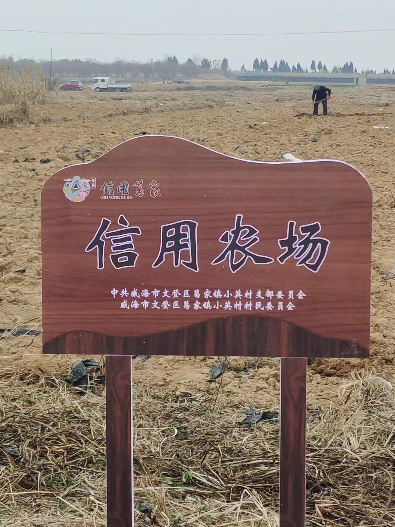 农场.jpg