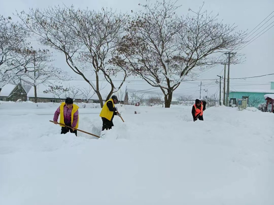 扫雪1.jpg